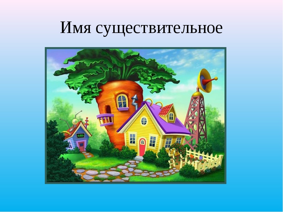 img13.jpg