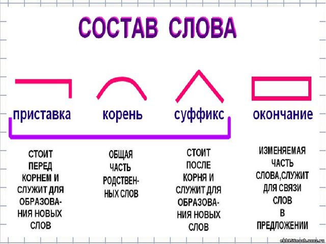 img2.jpg