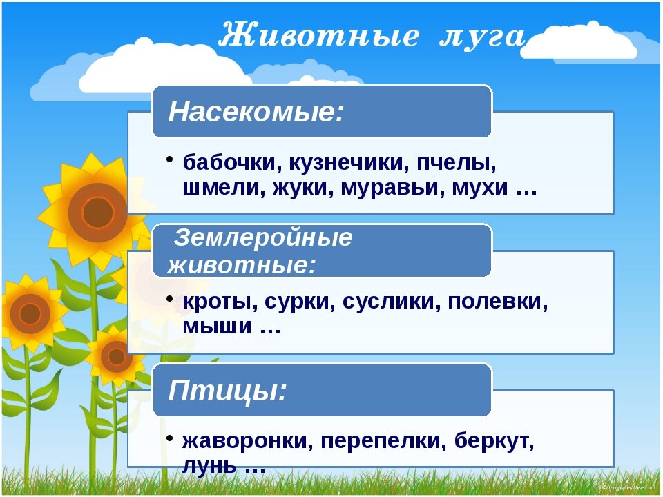 .jpg
