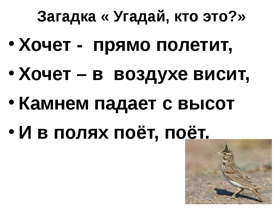 _это.jpg